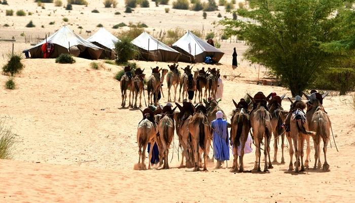 The Nemadi — Hunters of the Mauritanian Sahara and a Living Memory