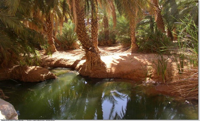 El Housseiniya (Tagant) — Hanging Gardens, a Blessed Spring and Desert Crocodiles