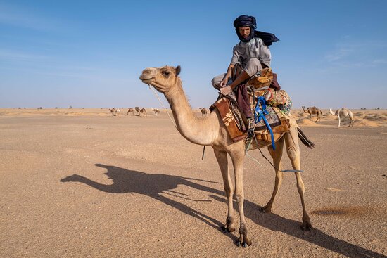 The Nemadi — Hunters of the Mauritanian Sahara and a Living Memory