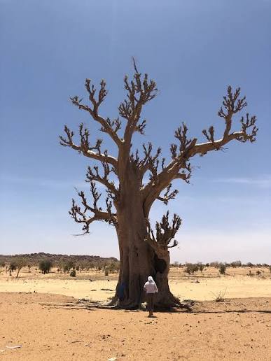 Ould Yengé (Guidimakha) — Una città sul Karakoro al confine con il Mali