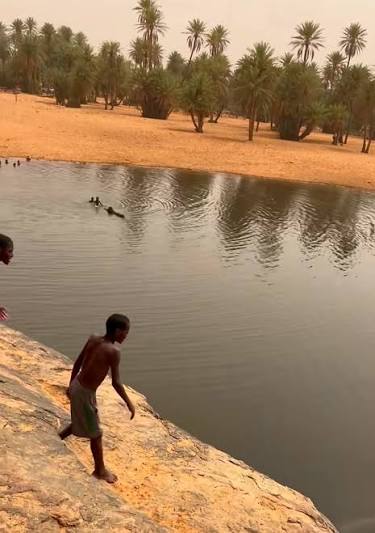 El Gadhya (Tagant) — Desert Crocodiles and Striking Landscapes near Tidjikja