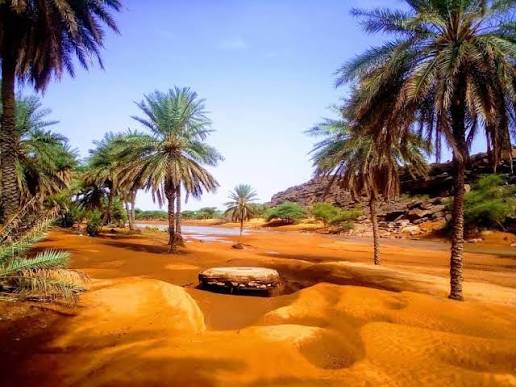 El Gadhya (Tagant) — Desert Crocodiles and Striking Landscapes near Tidjikja