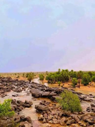 El Gadhya (Tagant) — Desert Crocodiles and Striking Landscapes near Tidjikja