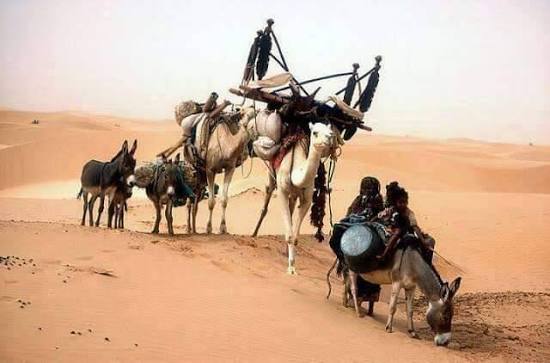 The Nemadi — Hunters of the Mauritanian Sahara and a Living Memory