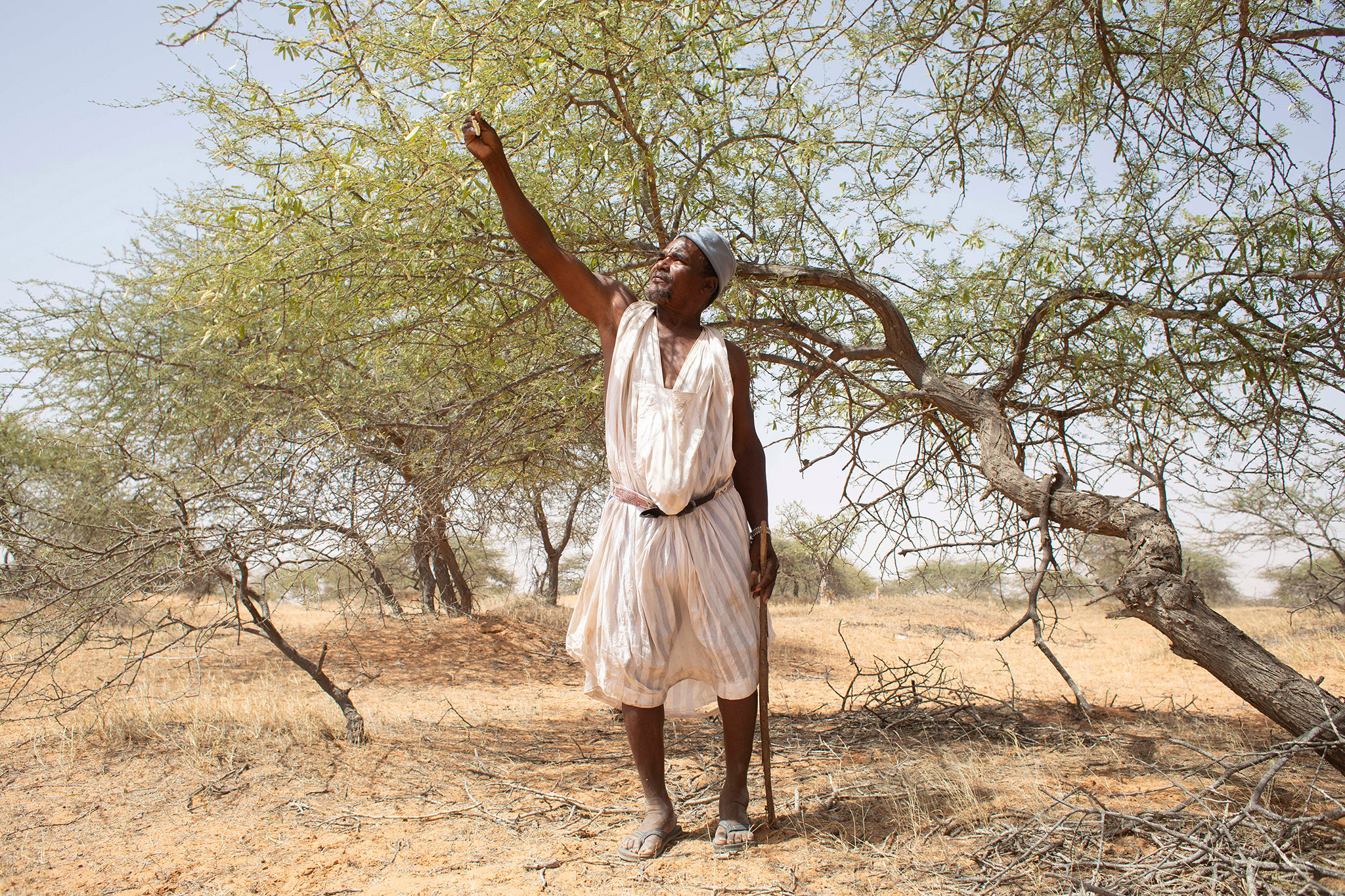 Amourj (Hodh Ech Chargui) — Terra di pastori al confine con il Mali