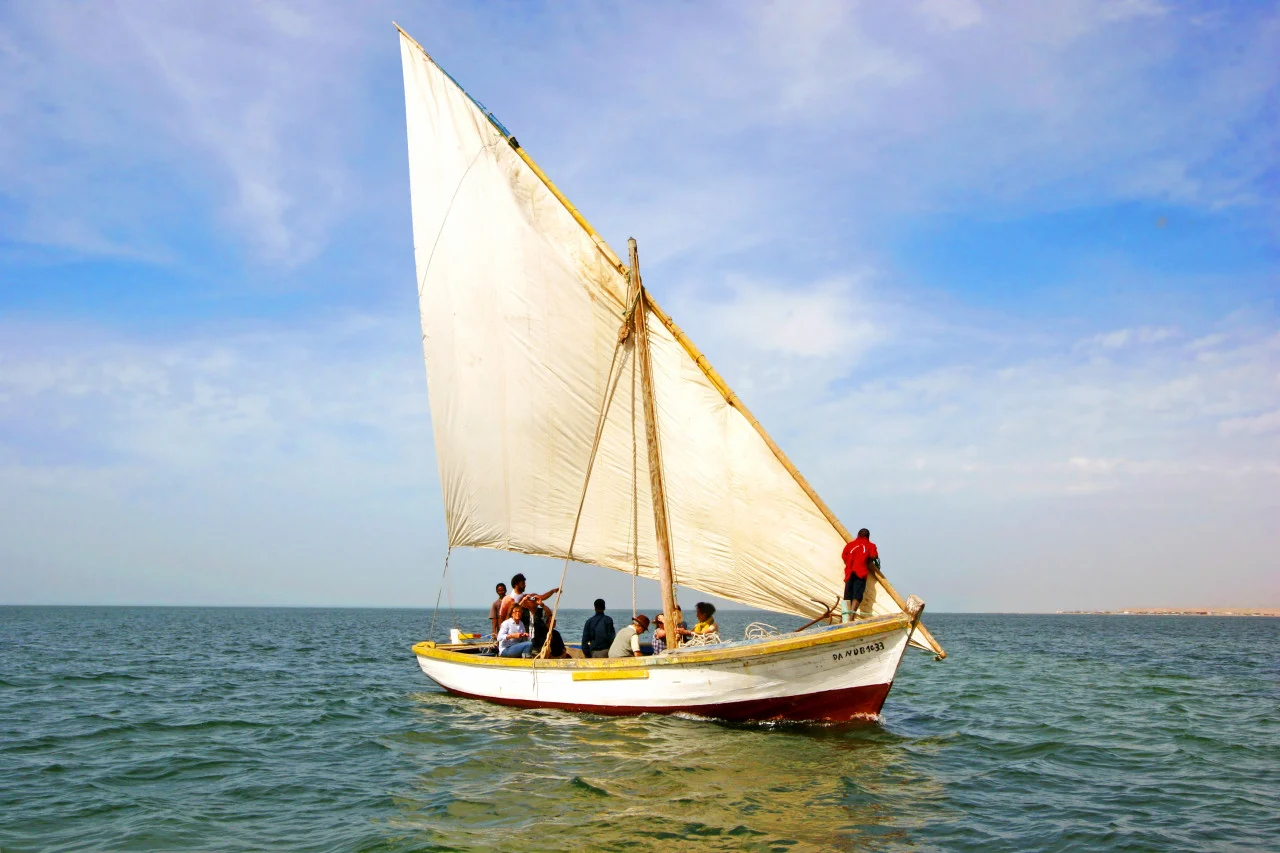 Le Banc d'Arguin