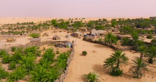Oasis de Tanouchert