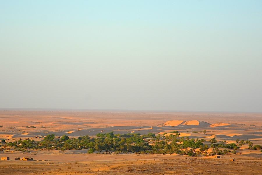 Oasis de Tanouchert