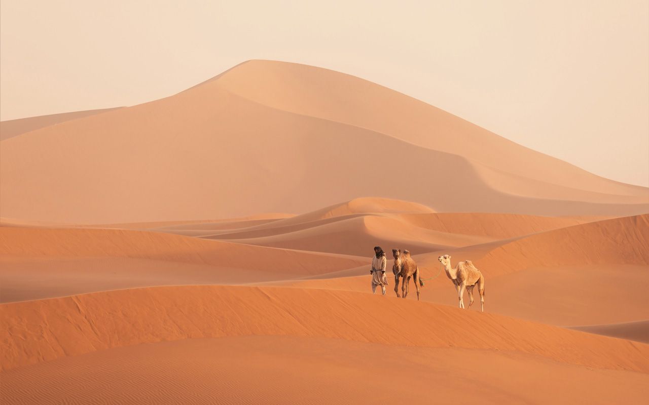 البيض