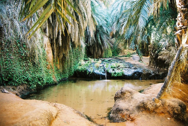 El oasis de Terjit
