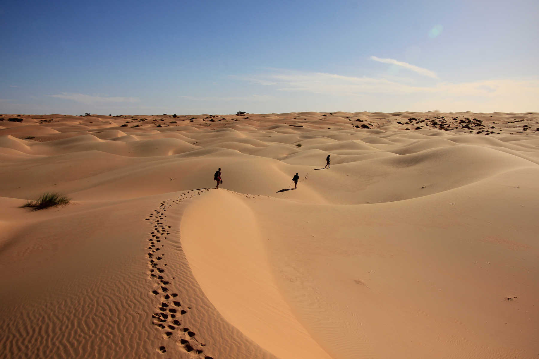 Trek chamelier dans l'Adrar — 8 jours : l'erg Ouarane et la montagne de Zarga