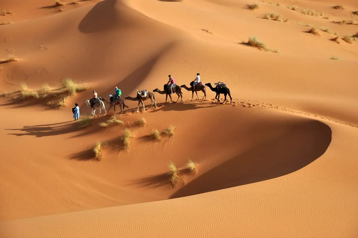 Trek chamelier dans l'Adrar — 8 jours : l'erg Ouarane et la montagne de Zarga