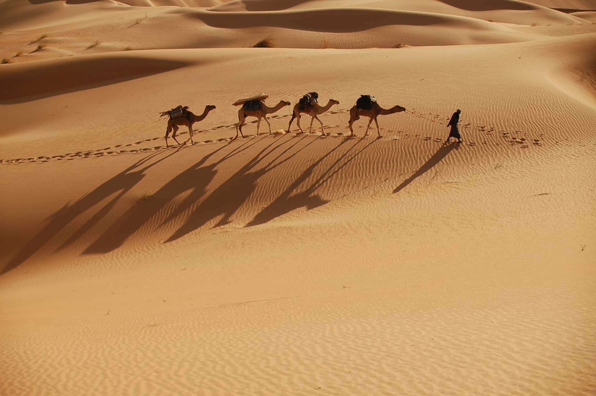 Trek chamelier dans l'Adrar — 8 jours : l'erg Ouarane et la montagne de Zarga