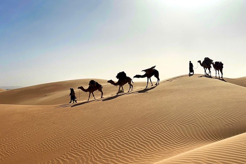 Trek chamelier dans l'Adrar — 8 jours : l'erg Ouarane et la montagne de Zarga