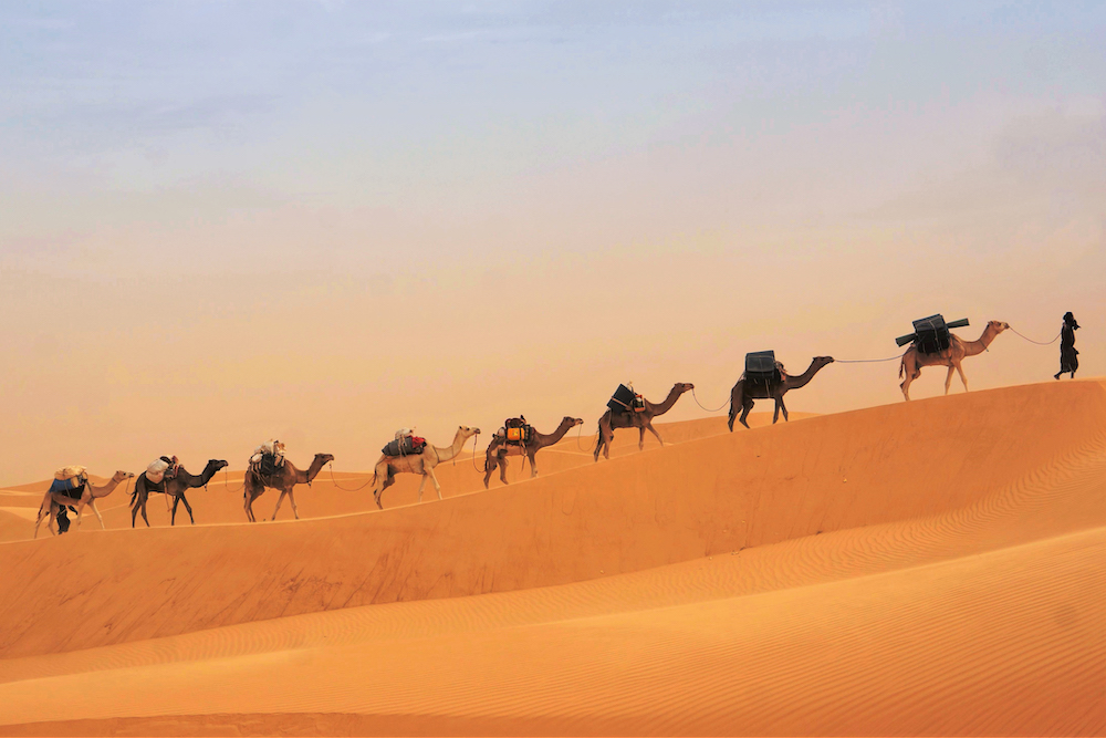 Trek chamelier dans l'Adrar — 8 jours : l'erg Ouarane et la montagne de Zarga