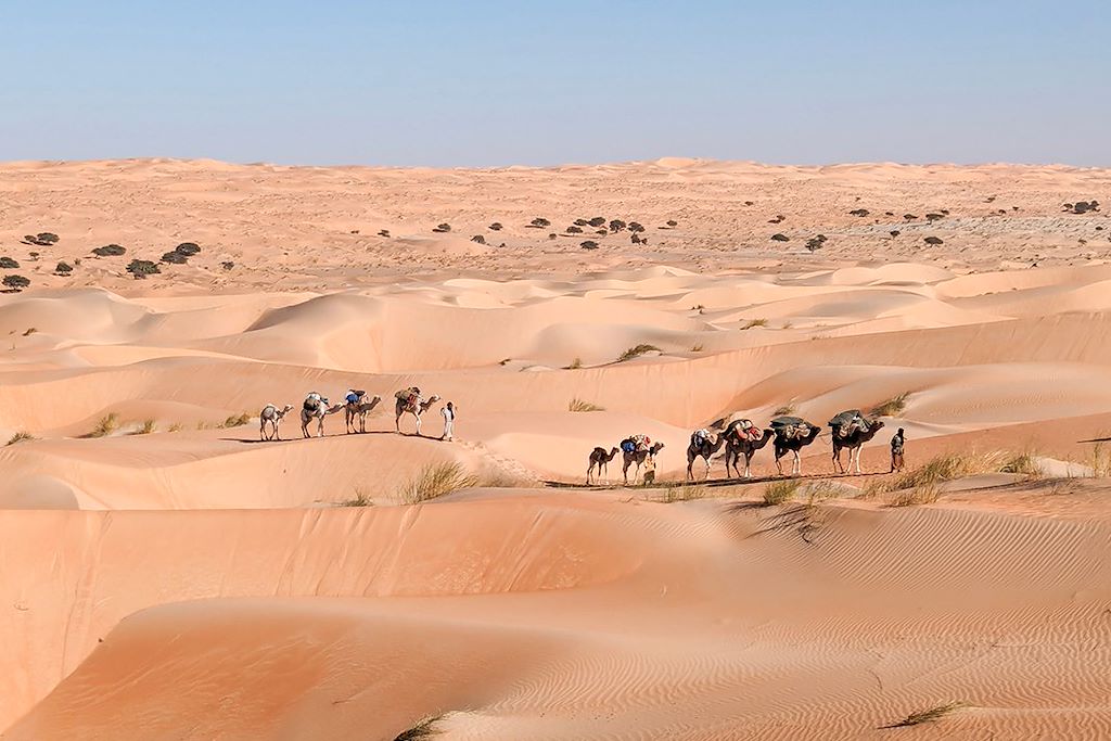 Trek chamelier dans l'Adrar — 8 jours : l'erg Ouarane et la montagne de Zarga