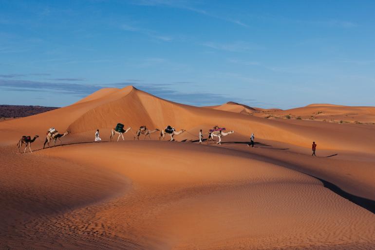 Trek chamelier dans l'Adrar — 8 jours : l'erg Ouarane et la montagne de Zarga