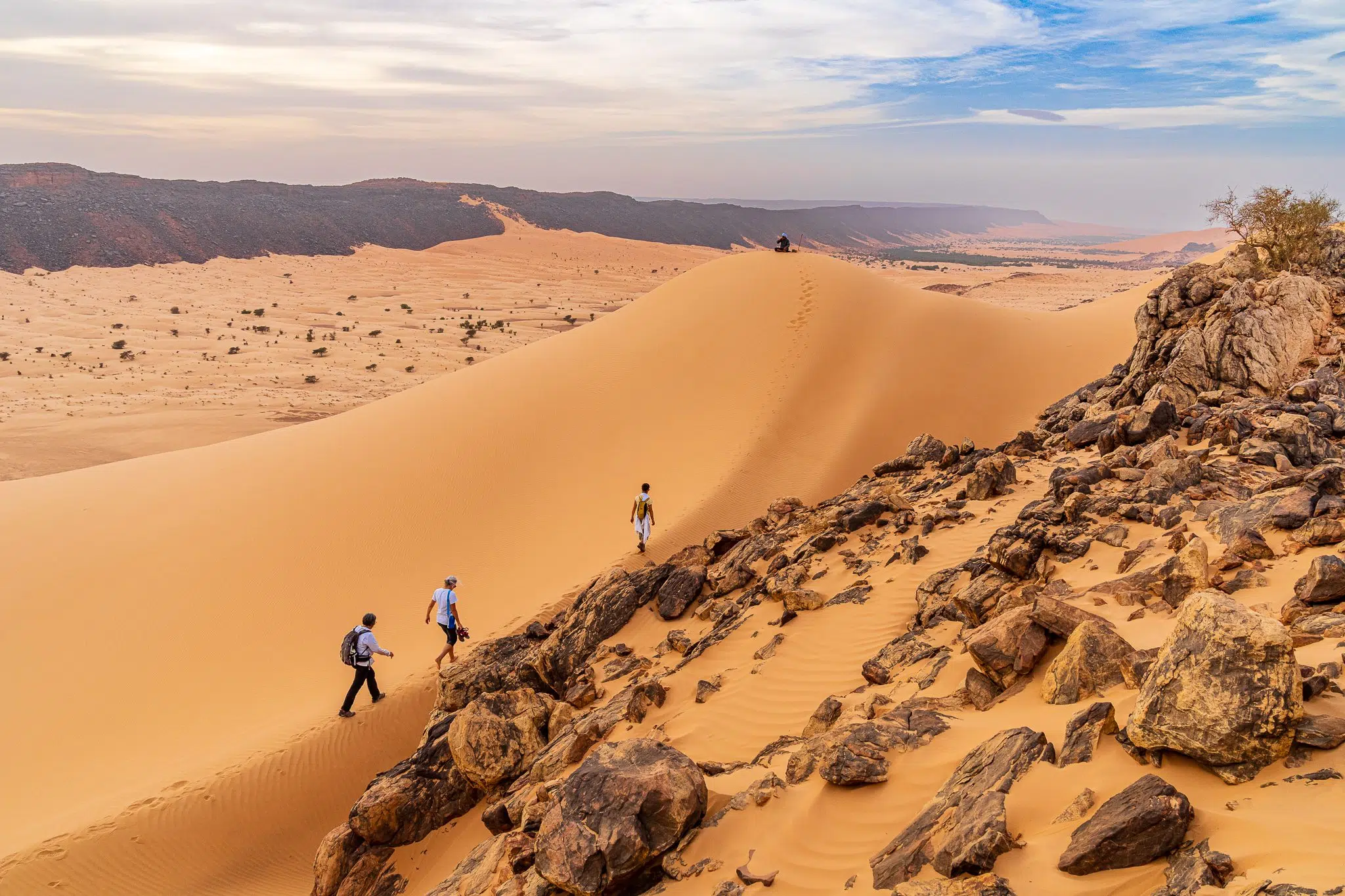 Trek chamelier dans l'Adrar — 8 jours : l'erg Ouarane et la montagne de Zarga