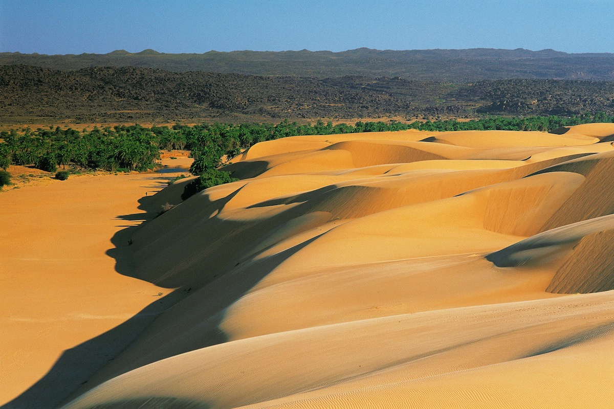 Sahara, Erzzug und Atlantikküste — 11 Tage in Mauretanien
