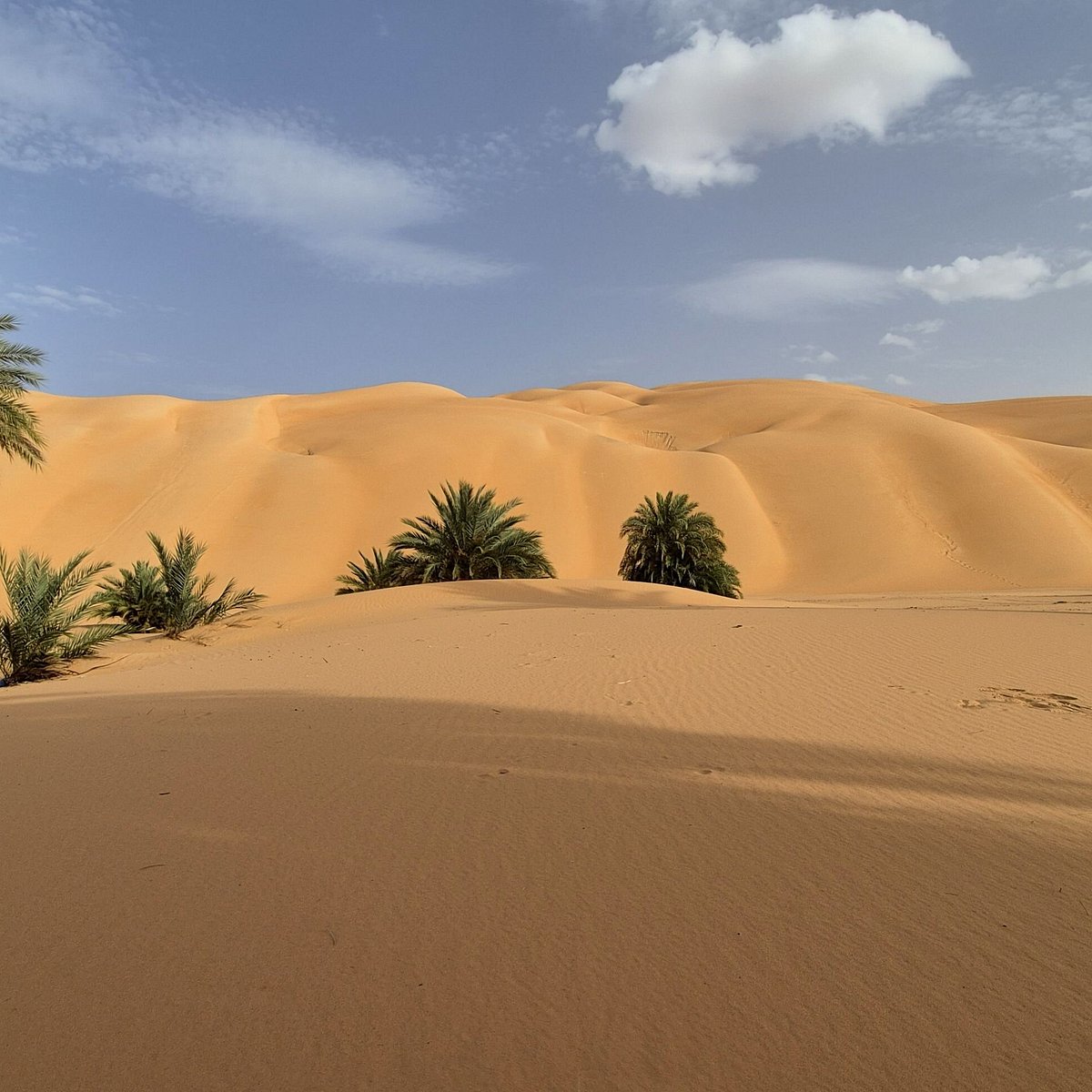 Adrar Camel Trek — 14 Days: Chinguetti, Mount Zarga, Terjit and the Erg Amatlich