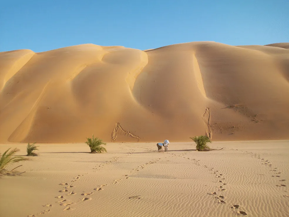 Sahara, Erzzug und Atlantikküste — 11 Tage in Mauretanien