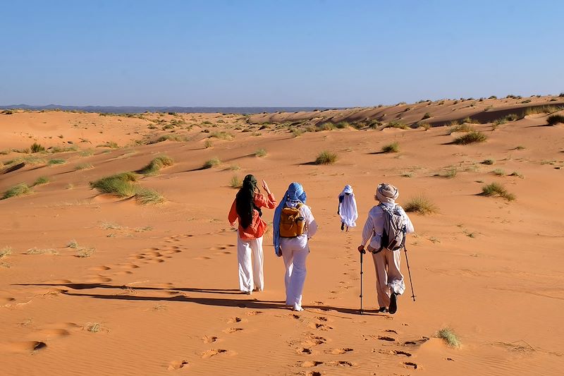 Adrar Camel Trek — 14 Days: Chinguetti, Mount Zarga, Terjit and the Erg Amatlich
