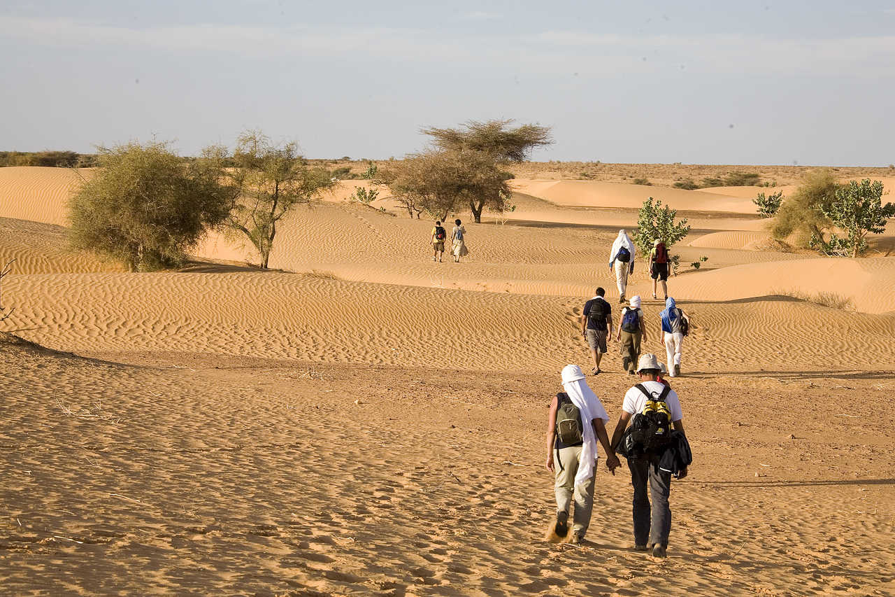 Adrar Camel Trek — 14 Days: Chinguetti, Mount Zarga, Terjit and the Erg Amatlich