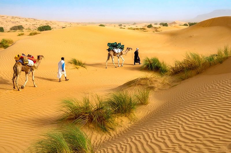 Adrar Camel Trek — 14 Days: Chinguetti, Mount Zarga, Terjit and the Erg Amatlich