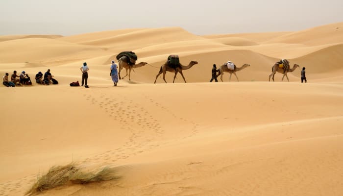 Adrar Camel Trek — 14 Days: Chinguetti, Mount Zarga, Terjit and the Erg Amatlich