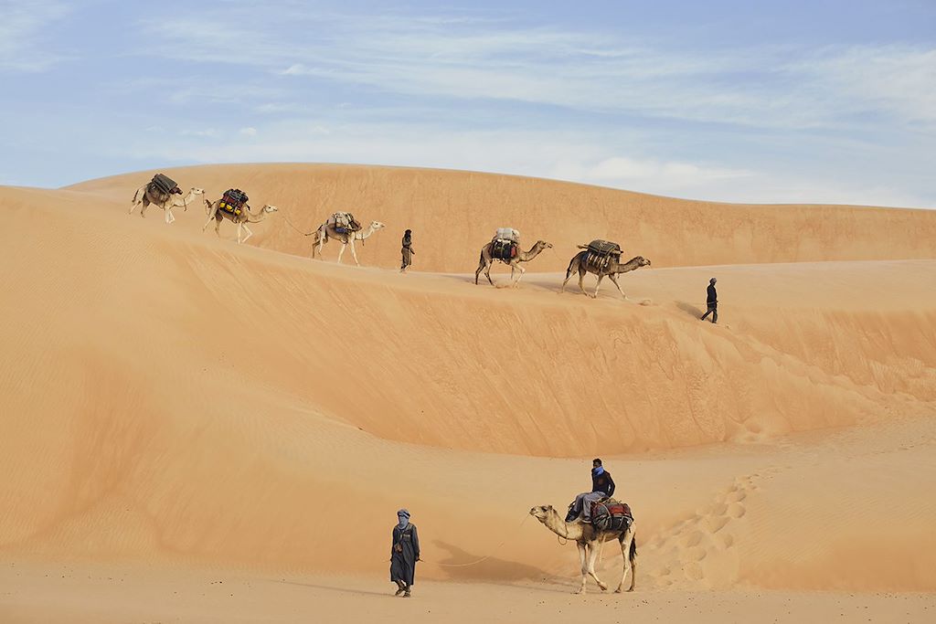 Adrar Camel Trek — 14 Days: Chinguetti, Mount Zarga, Terjit and the Erg Amatlich
