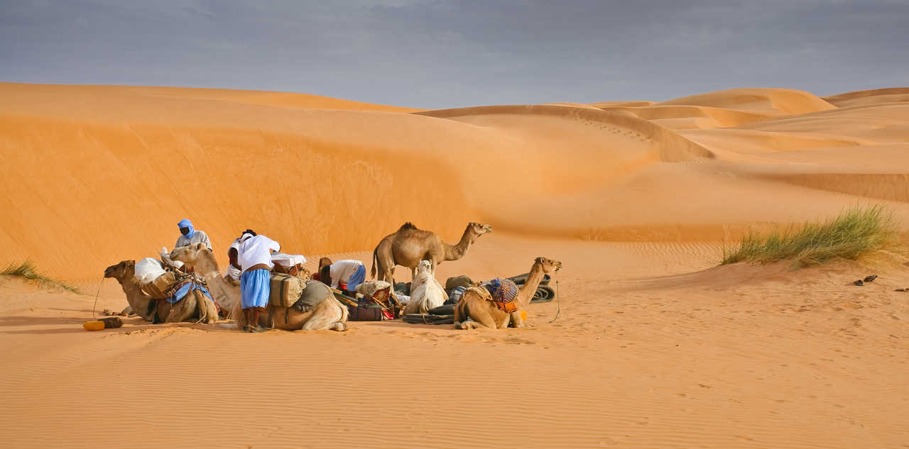 Adrar Camel Trek — 14 Days: Chinguetti, Mount Zarga, Terjit and the Erg Amatlich