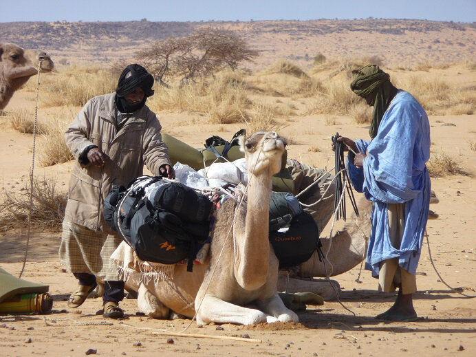 Adrar Camel Trek — 14 Days: Chinguetti, Mount Zarga, Terjit and the Erg Amatlich