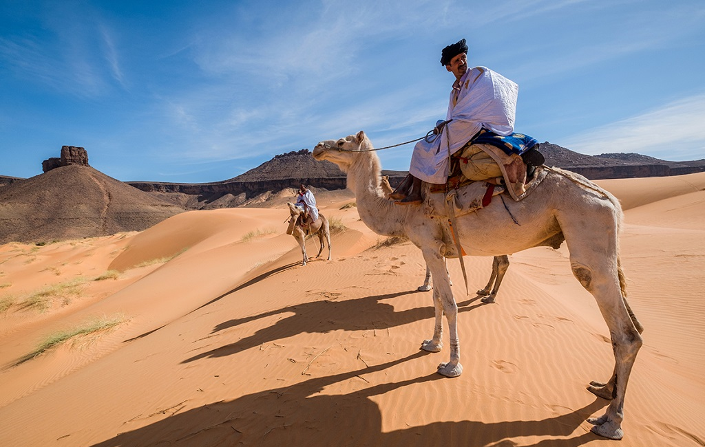 Adrar Camel Trek — 14 Days: Chinguetti, Mount Zarga, Terjit and the Erg Amatlich
