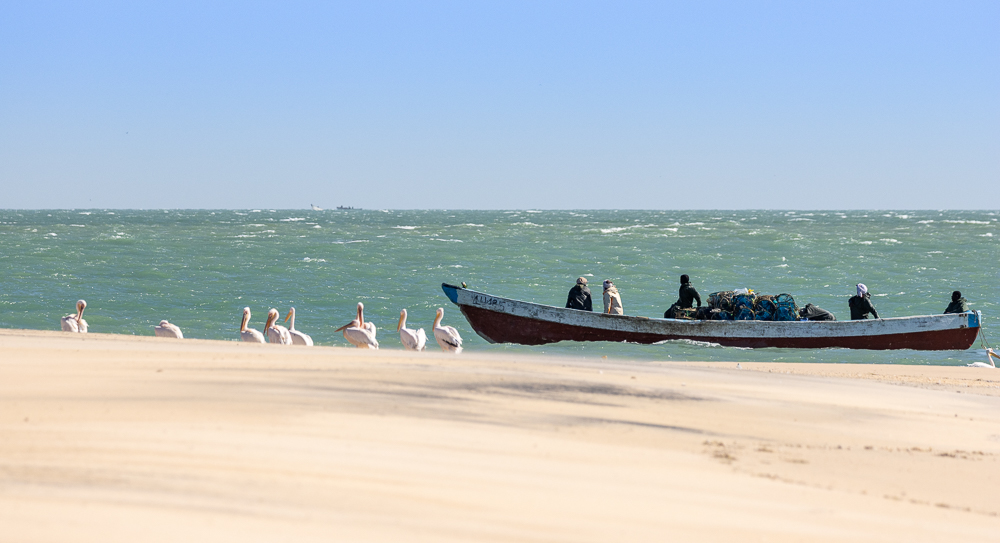 Expedição ao Parque Nacional do Banc d'Arguin — 4 dias: veleiros imraguen, ilha de Tidra e Cabo Timiris