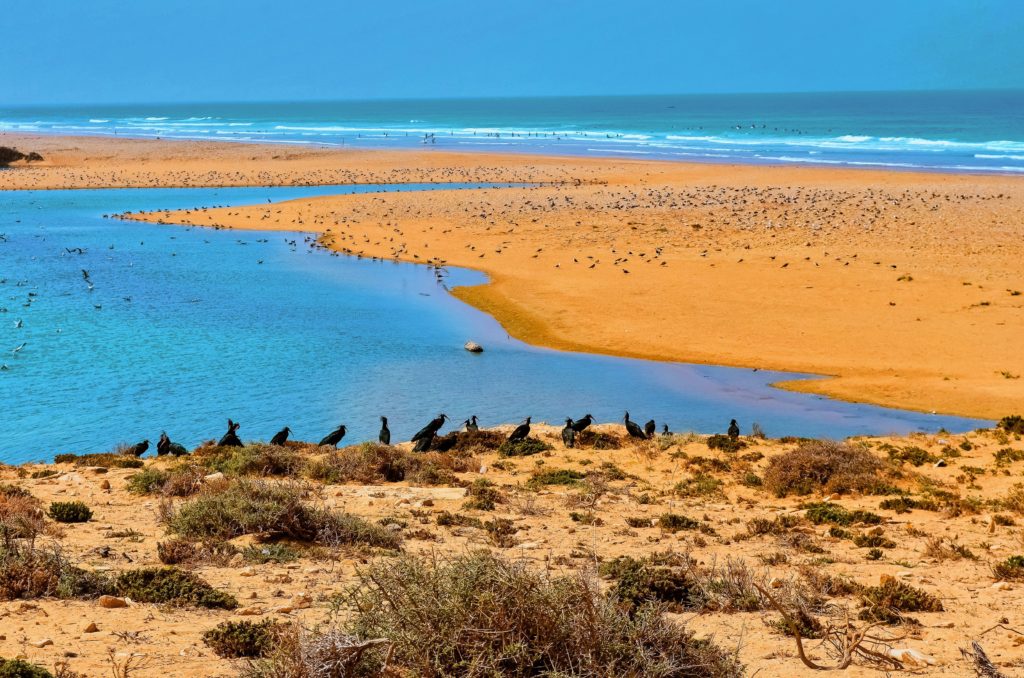 Expedição ao Parque Nacional do Banc d'Arguin — 4 dias: veleiros imraguen, ilha de Tidra e Cabo Timiris
