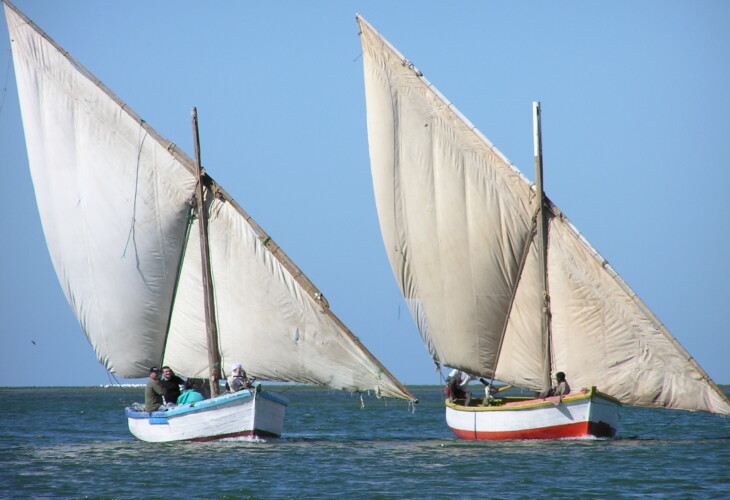 Expedição ao Parque Nacional do Banc d'Arguin — 4 dias: veleiros imraguen, ilha de Tidra e Cabo Timiris