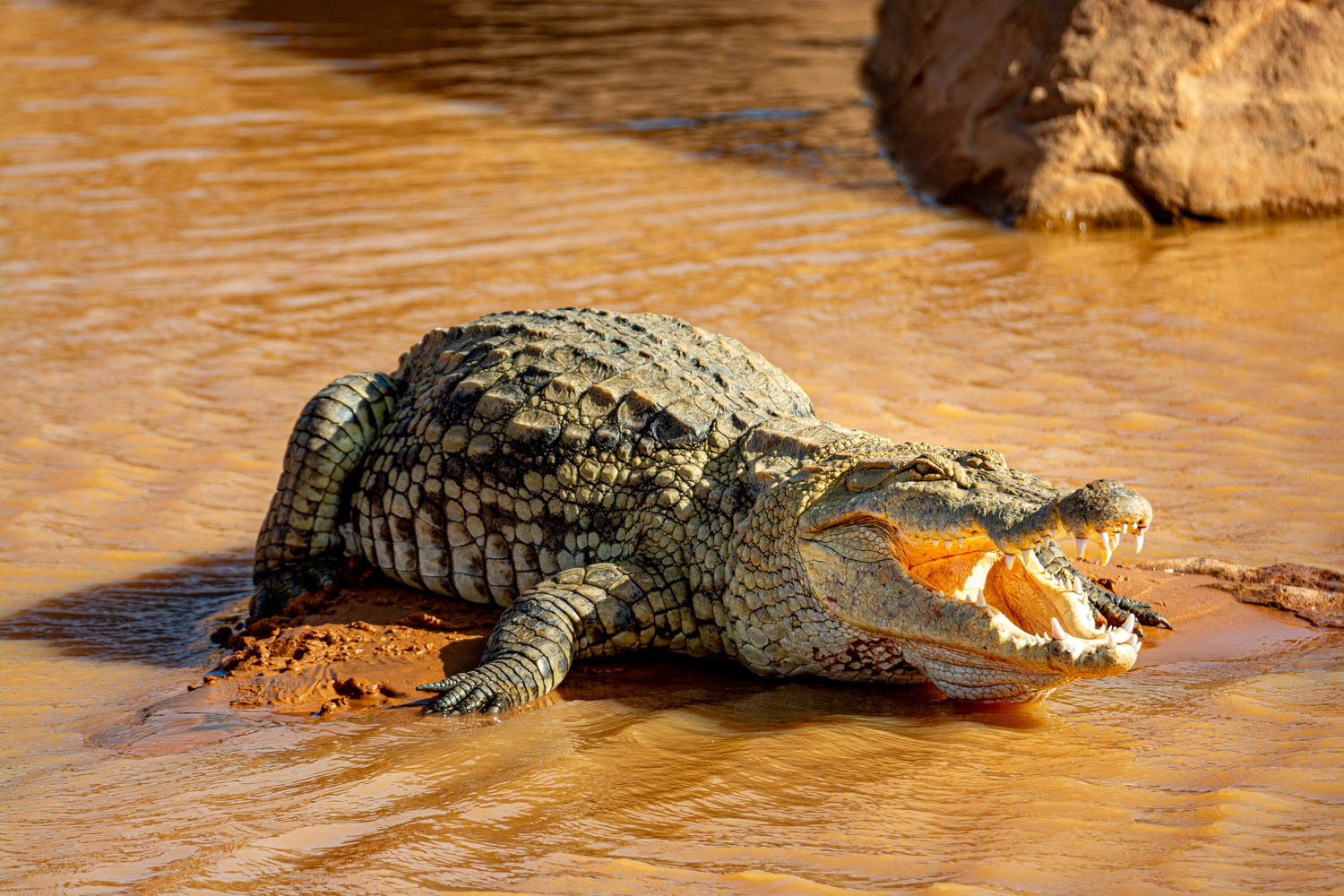 Большой тур по Мавритании — 16 дней на 4x4: четыре города ЮНЕСКО, Глаз Сахары и сахарские крокодилы