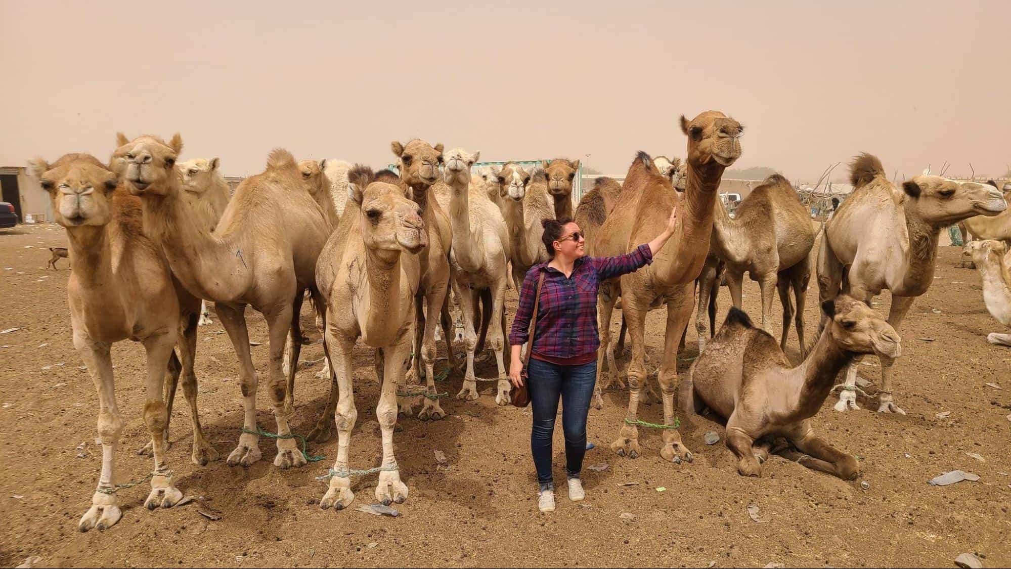 Sahara, Erzzug und Atlantikküste — 11 Tage in Mauretanien