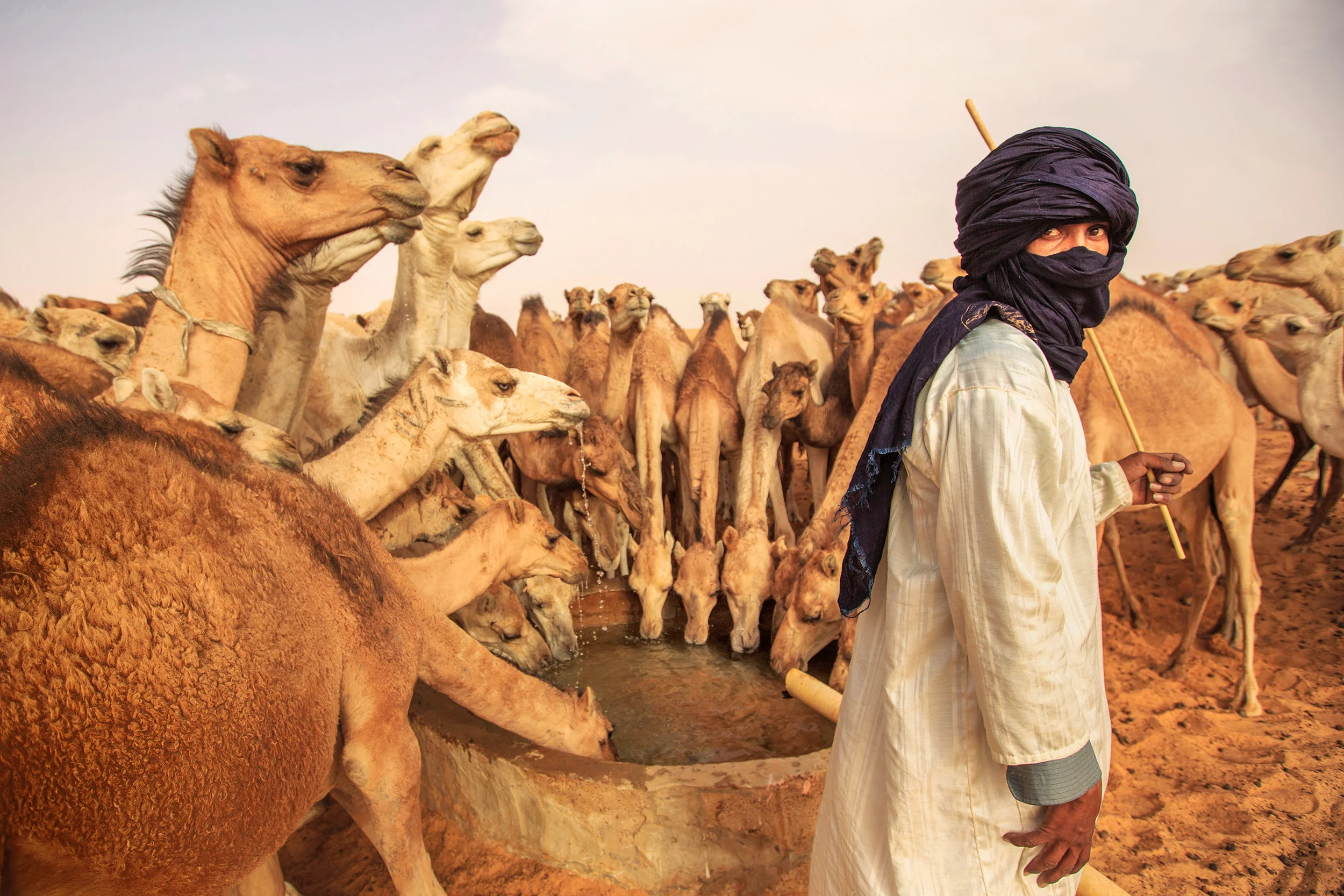 Sahara, Erzzug und Atlantikküste — 11 Tage in Mauretanien