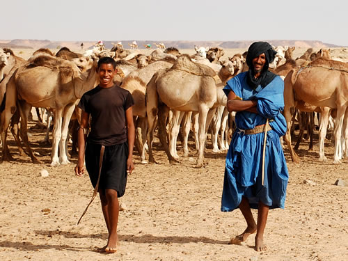 Sahara, Erzzug und Atlantikküste — 11 Tage in Mauretanien