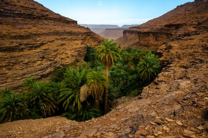 Große Sahara-Expedition in Mauretanien — 10 Tage: von Nouakchott zum Eisenerzzug und Nouadhibou