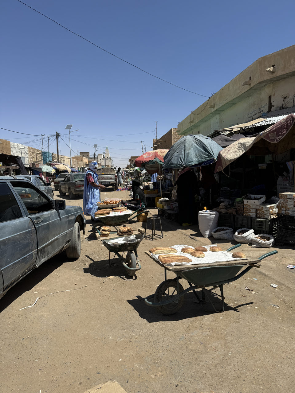 Sahara, Erzzug und Atlantikküste — 11 Tage in Mauretanien